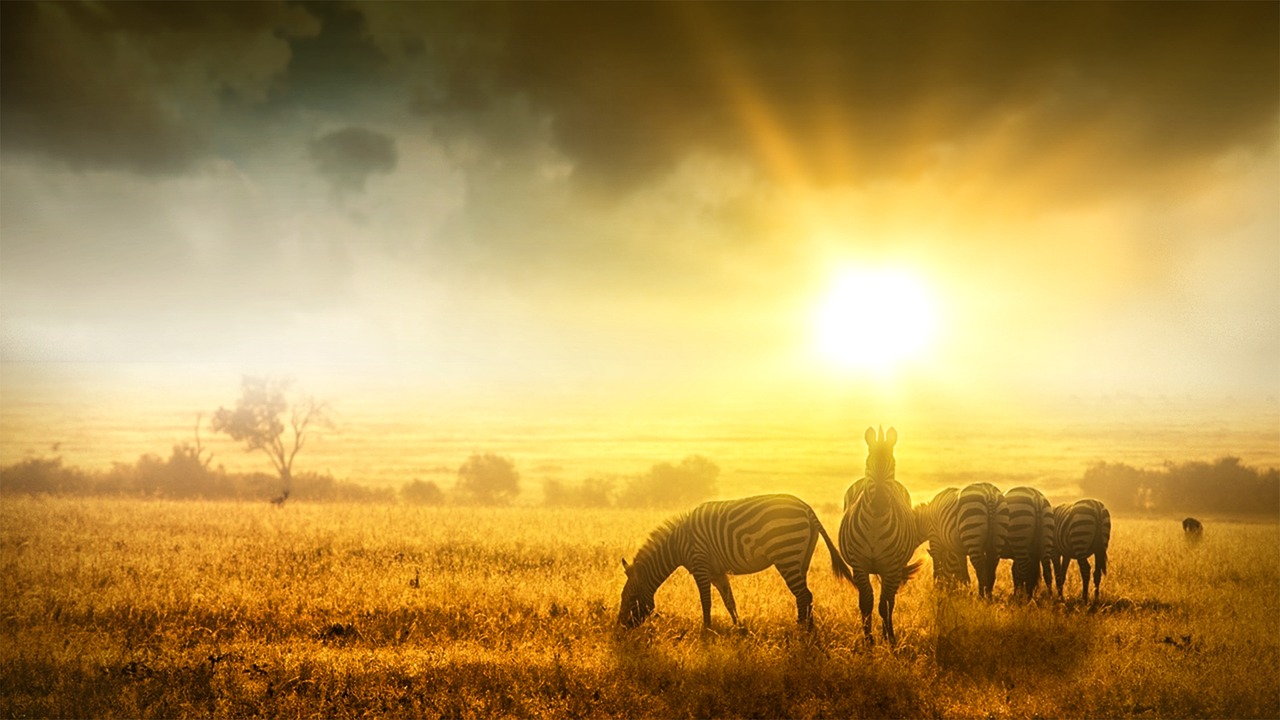 Afrique couché soleil