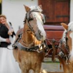 idées originales arrivée de mariage